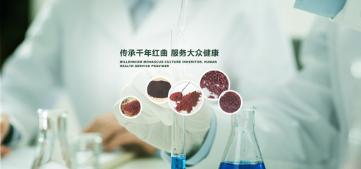 探索武汉佳成生物制品的红曲世界 功能、发酵与酿造红曲的多元应用